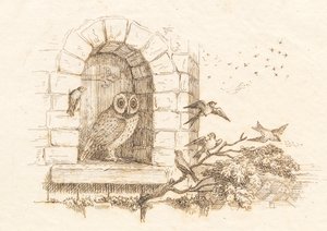 Illustration pour "Cinquante fables pour enfants" de Hey