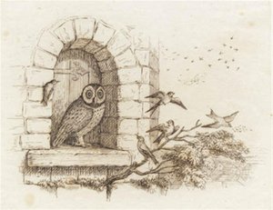 Illustration pour "Cinquante fables pour enfants" de Hey