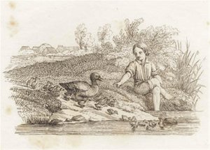 Illustration pour "Cinquante Fables pour Enfants" de Hey