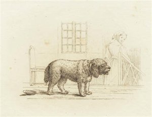 Illustration pour "Cinquante fables pour enfants" de Hey - Martinus Rørbye