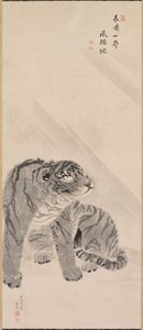 Tigre dans le vent et la pluie