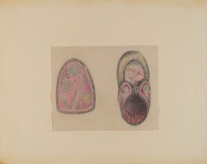 Mocassin