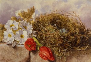 Nature morte de tulipes en fleurs et un nid d