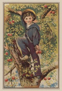 Garçon grimpant à un pommier