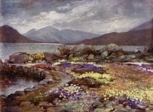 Jardins écossais : Corrour