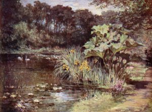Jardins écossais : Culzean