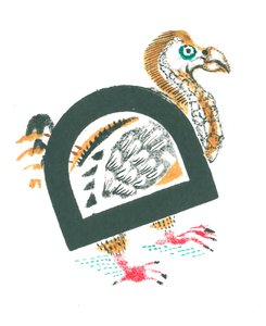 D pour dodo - Mary Kuper