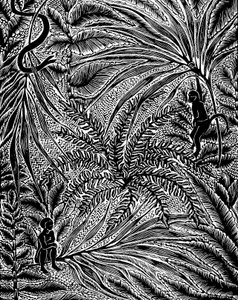 Jungle - Mary Kuper