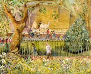 Zoo de Londres, chameaux, 2003 - Mary Kuper
