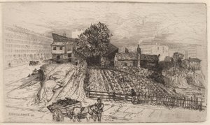 Une ferme urbaine—New York