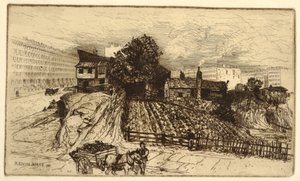Une ferme urbaine, New York - Mary Nimmo Moran