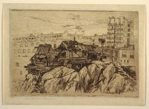 Les habitants des falaises de New York