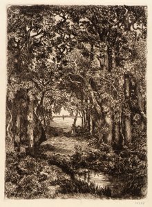 La mer à travers les bois - Mary Nimmo Moran
