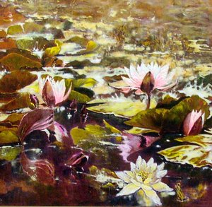Lys dans les jardins de Melbourne