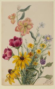 Groupe de fleurs