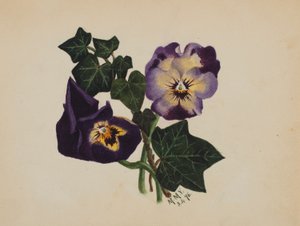 Sans titre (Pensées et lierre)