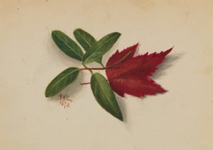 Sans titre