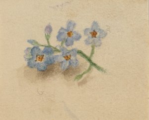 Sans titre, 1874 - Mary Vaux Walcott