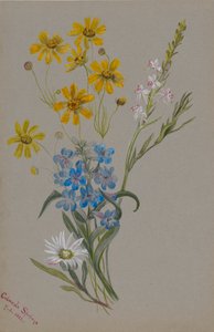 Sans titre, Groupe de Fleurs