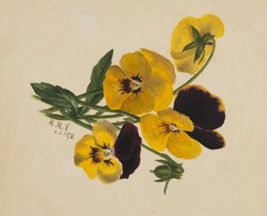 Pensées sans titre, 1876