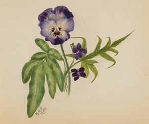 Pensée sans titre, 1876
