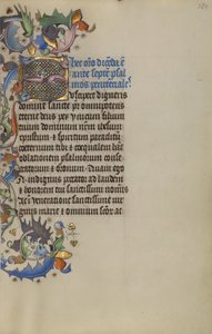 Habité Initial S
