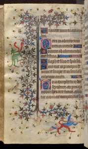 Heures de Charles le Noble, roi de Navarre (1361-1425) : fol. 135v, Texte - Master of the Brussels Initials and Associates