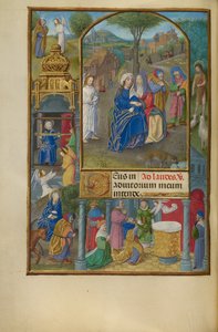 La visite