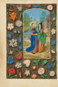 La visite