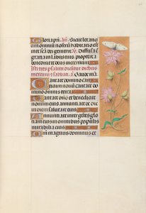 Heures de la reine Isabelle la Catholique, reine d