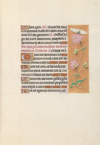 Heures de la reine Isabelle la Catholique, reine d