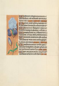 Heures de la reine Isabelle la Catholique, reine d