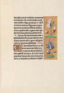 Heures de la reine Isabelle la Catholique, reine d