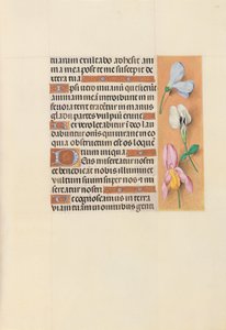 Heures de la reine Isabelle la Catholique, reine d