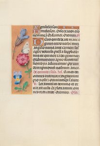 Heures de la reine Isabelle la Catholique, reine d