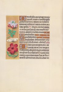 Heures de la reine Isabelle la Catholique, reine d
