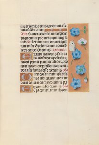 Heures de la reine Isabelle la Catholique, reine d
