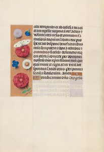 Heures de la reine Isabelle la Catholique, reine d