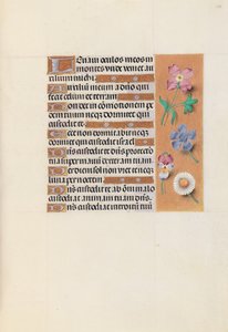 Heures de la reine Isabelle la Catholique, reine d