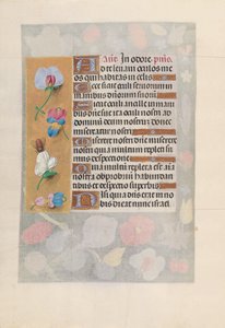 Heures de la reine Isabelle la Catholique, reine d