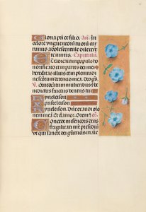 Heures de la reine Isabelle la Catholique, reine d