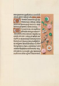 Heures de la reine Isabelle la Catholique, reine d