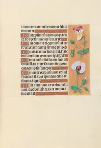 Heures de la reine Isabelle la Catholique, reine d