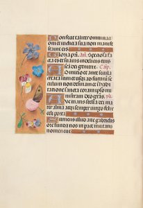 Heures de la Reine Isabelle la Catholique, Reine d