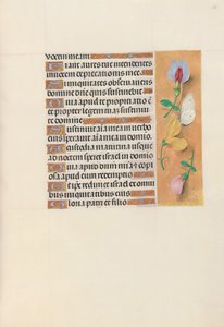 Heures de la reine Isabelle la Catholique, reine d