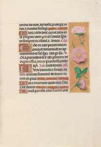 Heures de la reine Isabelle la Catholique, reine d
