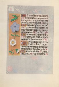 Heures de la reine Isabelle la Catholique, reine d