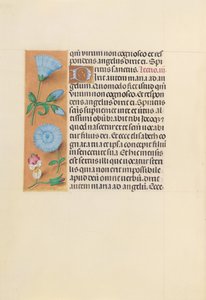 Heures de la reine Isabelle la Catholique, reine d