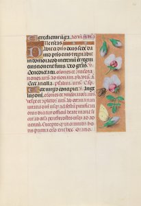 Heures de la reine Isabelle la Catholique, reine d