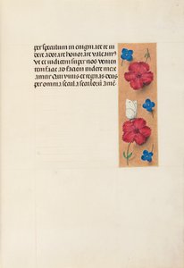 Heures de la reine Isabelle la Catholique, reine d